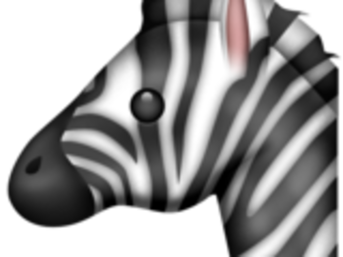 33. Zebra Face