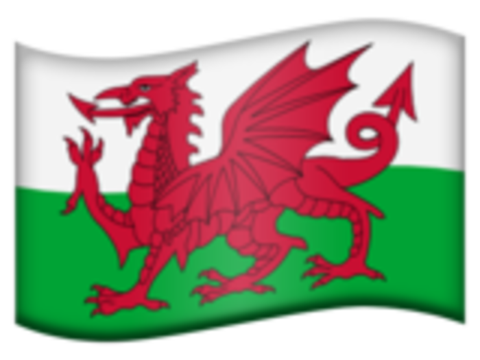 37. Flag of Wales