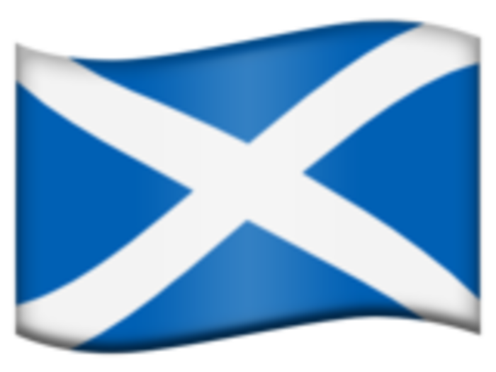 38. Flag of Scotland