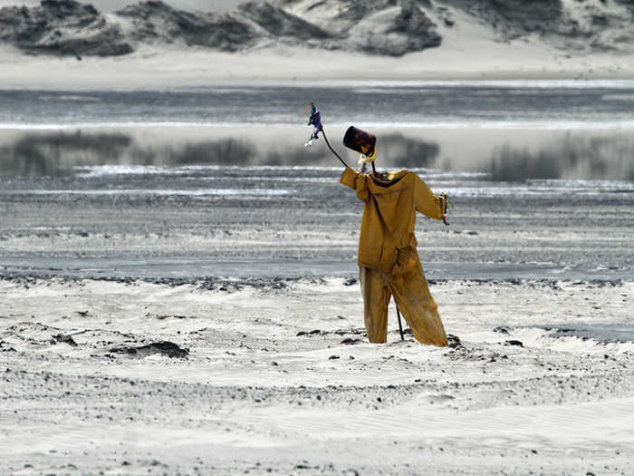 As the sand finally dries, it turns white. Sound cannons boom in these areas to scare birds away, especially after a 2010 incident where hundreds of ducks landed on a roadside pond and died.