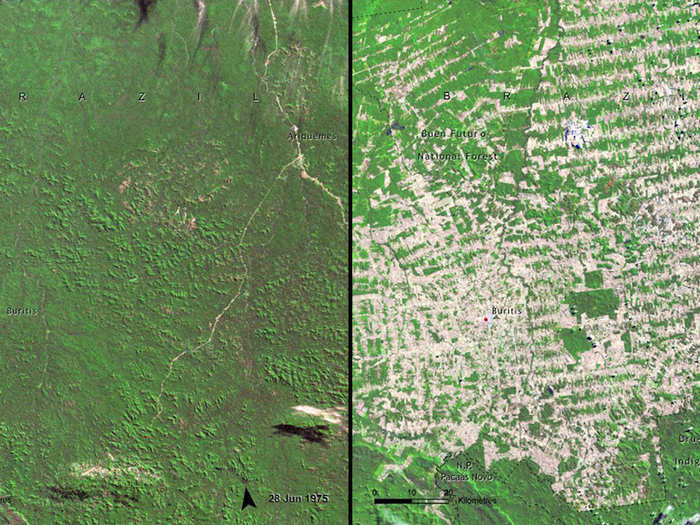 This area of Rondonia, Brazil was heavily deforested between 1975 (left) and 2009 (right).