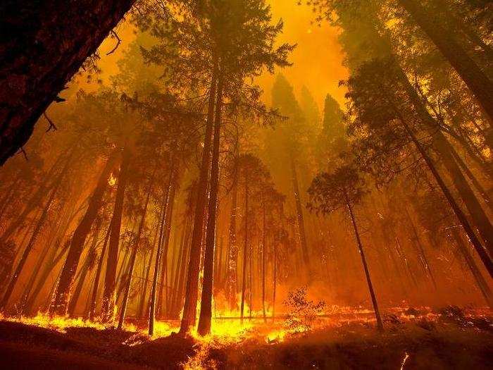 "So, I predict there will be huge chunks of the Death Star raining down on the Ewoks that might make their life unpleasant," he said, adding that the biggest problem for the Ewoks on a dense forest moon might be fire.