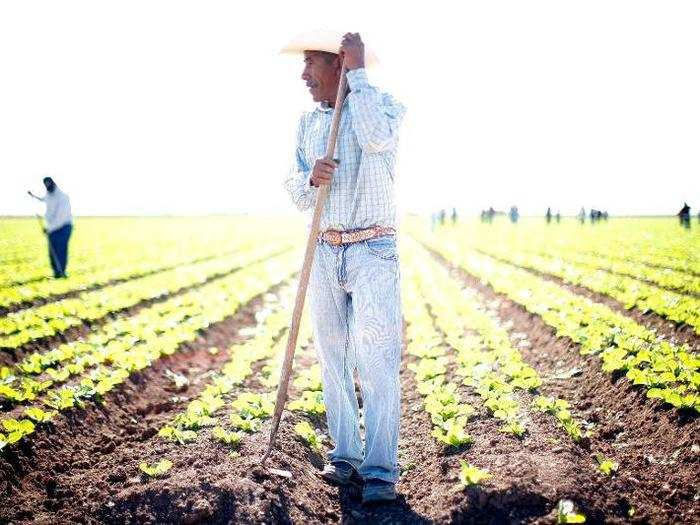 On farming: "Ingredients that come from agriculture, especially animal products, are very wasteful and inefficient."