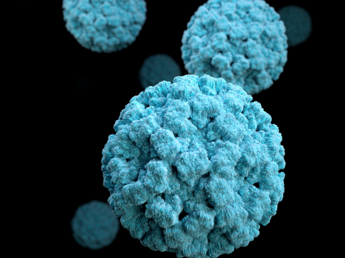 Norovirus