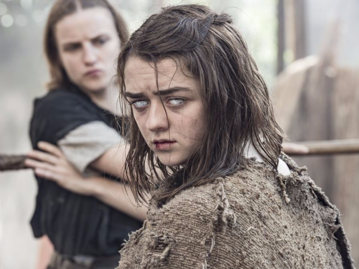 Arya Stark wargs a ton (aka goes into the body of an animal) during "A Dance with Dragons," but we don