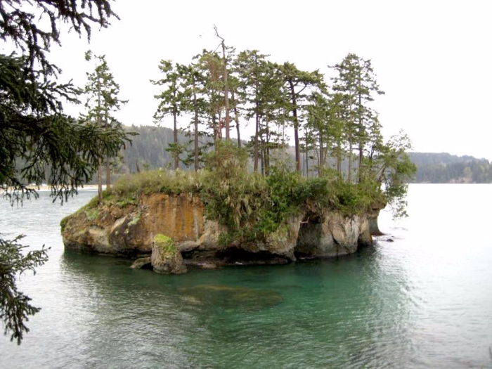 Tongue Point, Washington