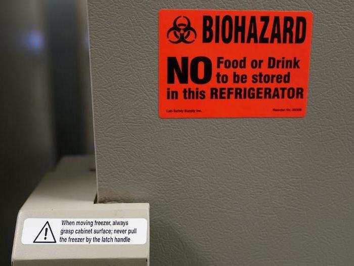 ... is sliced into cross-sections and flash-frozen in nitrogen. It lives out the remainder of its time in a freezer kept at -112 degrees Fahrenheit.