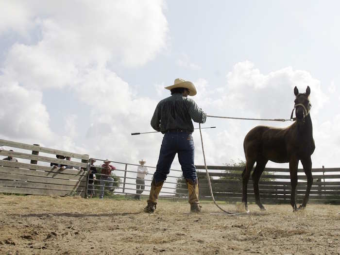 9. King Ranch Heirs — 911,215 acres