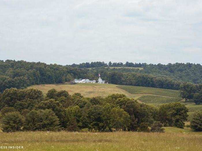 In the hazy distance stands the Grand Hall, the wedding venue attached to the vineyard, and the Albemarle Estate, an extravagant Georgian mansion that is part of the Trump Hotels portfolio.