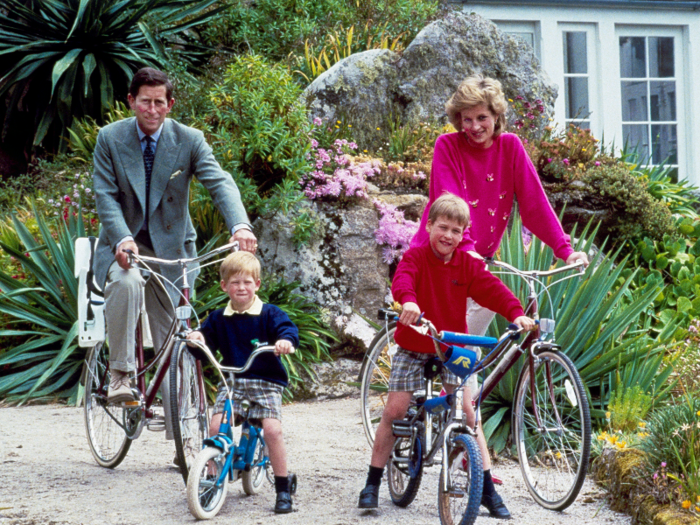 Prince William and Prince Harry have described their mother