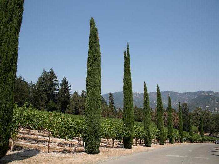 Castello di Amorosa is one of the most unique experiences you can find in Napa Valley. It