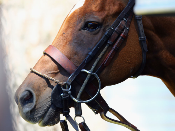 Pence has said that he also enjoys horseback riding. "The outside of a horse is good for the inside of a man," he told The Hill.