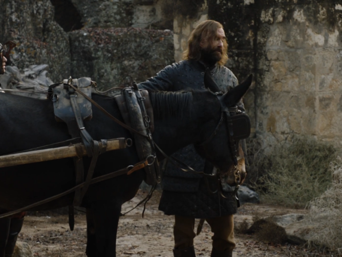 Brienne is shocked to see The Hound alive, especially since the last time they crossed paths, she killed him.