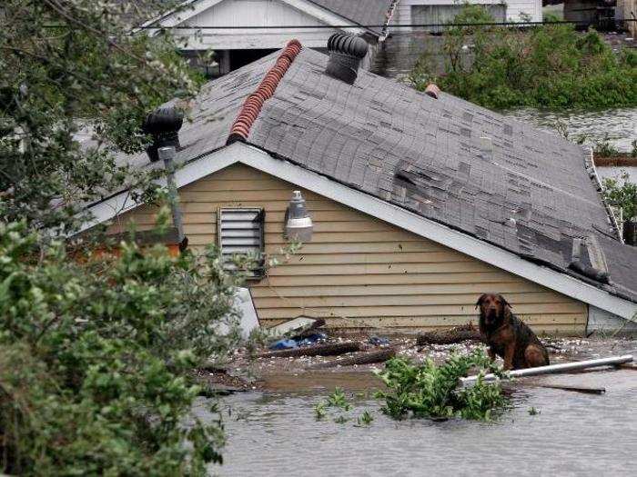 Katrina displaced over a million people and damaged or destroyed 275,000 homes.