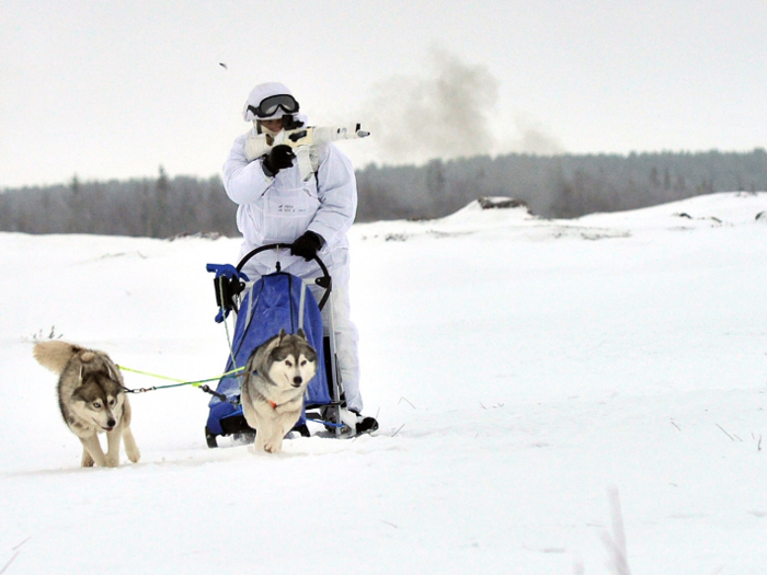 Reindeer and dog sleds are probably best suited for reconnaissance or other specialized tasks.