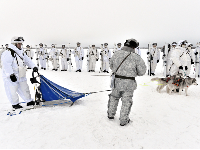 Russian troops also use sled dogs and skis.