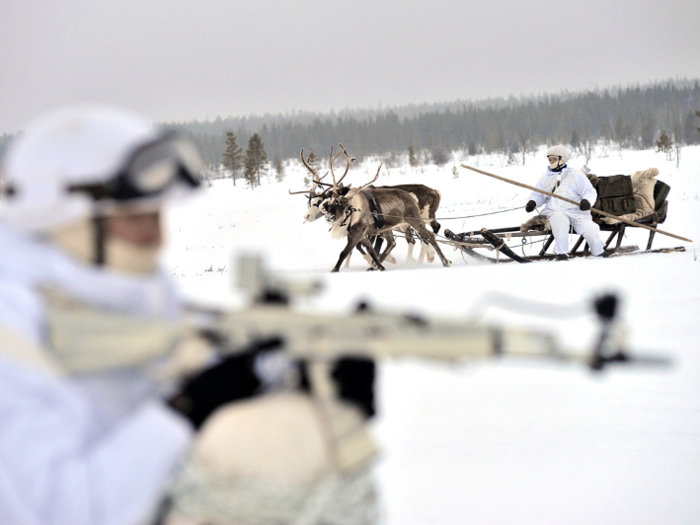 The reindeer can also be more mobile on rough terrain and sometimes go places vehicles can