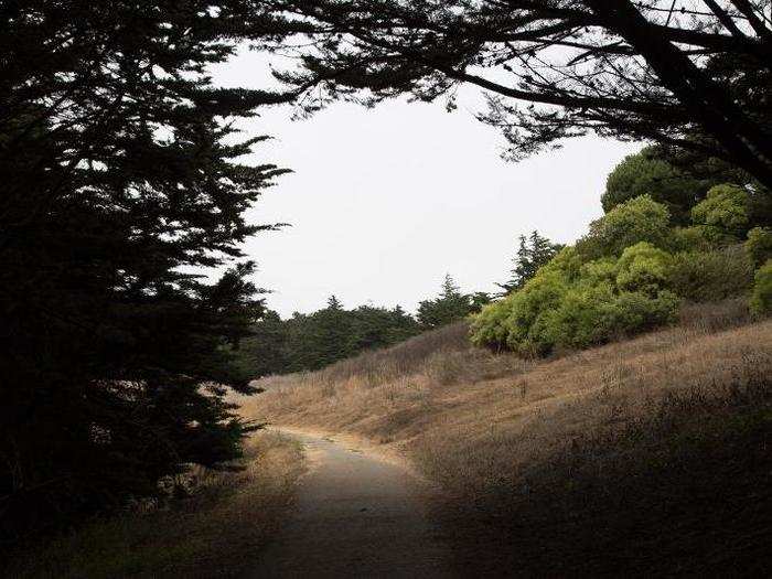 It has a reputation as a dumping ground for bodies. But McLaren Park has received much needed TLC in recent years, with new funding going toward its restoration.