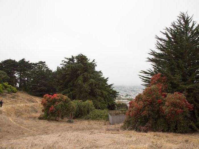 Excelsior has some charms. At 317 acres, John McLaren Park is the second largest park in San Francisco. Its meadows, grassland, and wetland habitat offer a retreat from city life.