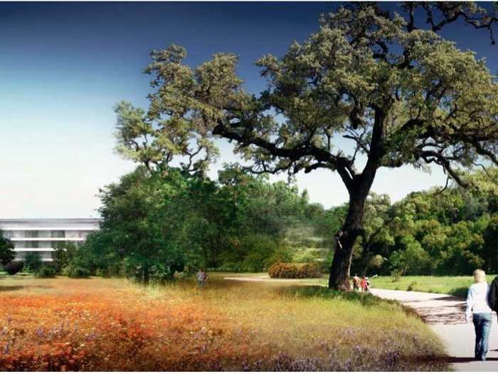 The campus gym was inspired in part by a hotel in Yosemite National Park.