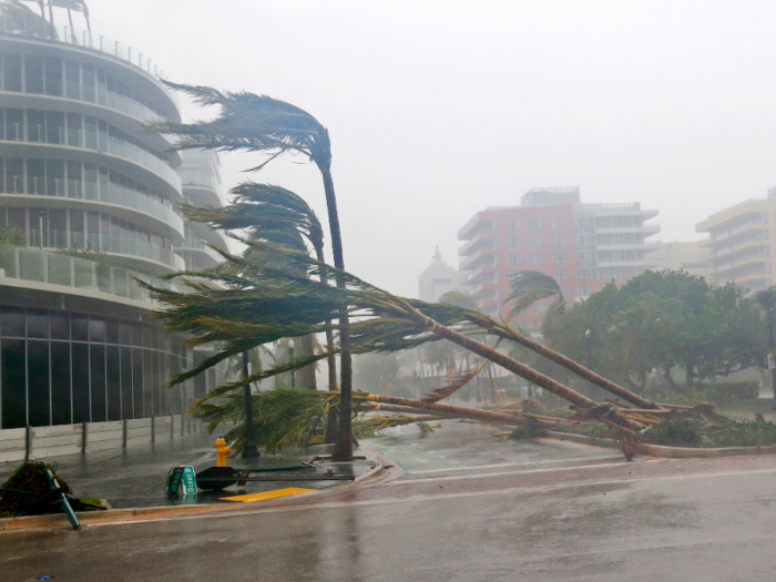 Trees were uprooted as well.