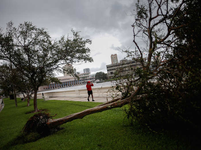 The destruction was felt in a handful of cities. In Tampa, a man walked past an uprooted tree along Bayshore Boulevard as threatening clouds continued to loom overhead.