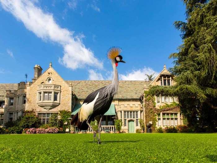 The 20,000-square-foot house is on the edge of the Los Angeles Country Club in the Holmby Hills neighborhood, right between Beverly Hills and Westwood.