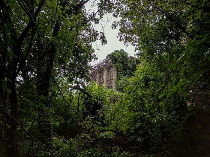 So many structures hide among the wild vines, trees, and fronds.