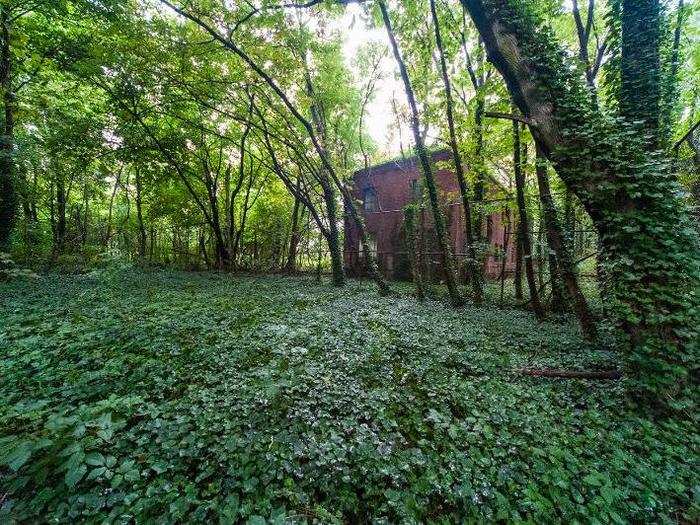 Some facilities are almost unrecognizable. Ivy has completely choked out this double tennis court.