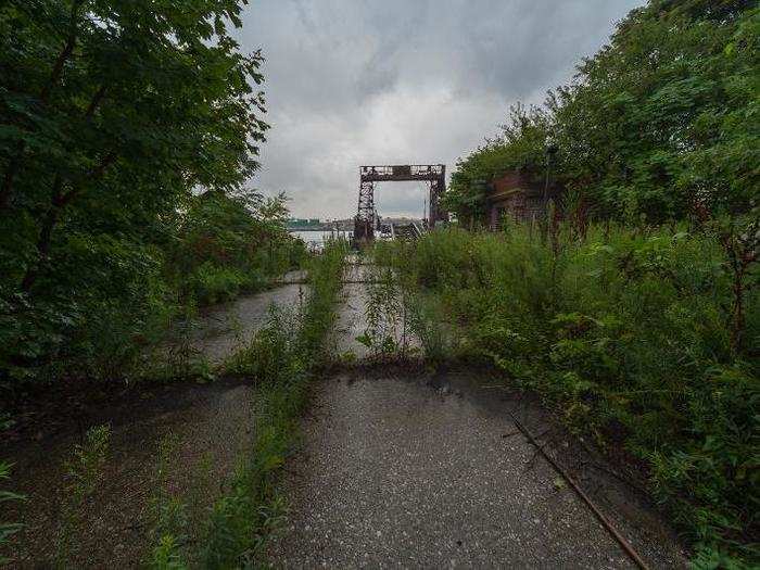 Streets and sidewalks are almost unrecognizable due to the overgrowth.