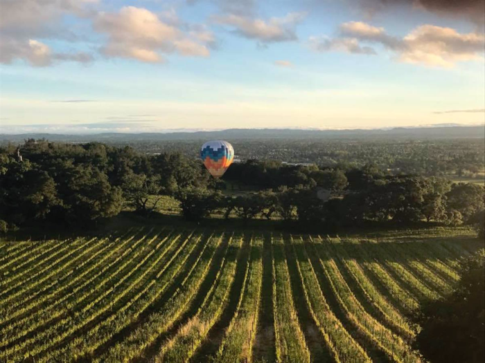 Paradise Ridge Winery was a popular wedding destination for its stunning views.