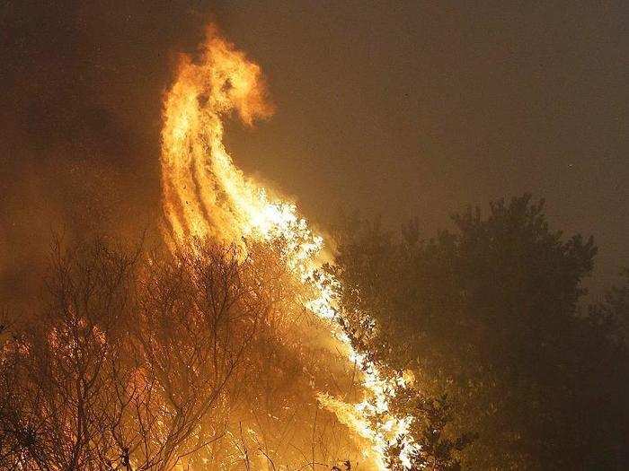 Two of the largest fires — the Tubbs and Atlas fires — are believed to have begun near Highway 128 in Napa. Strong, dry winds fanned the flames from ridge top to ridge top overnight.