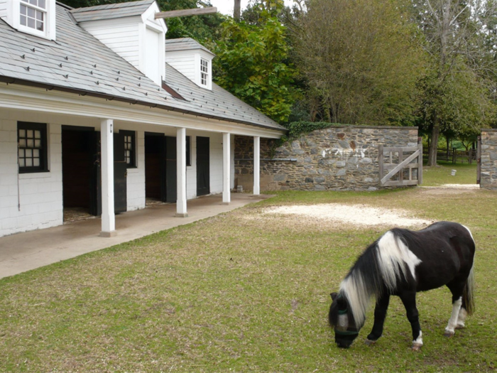 This stable can hold eight horses.