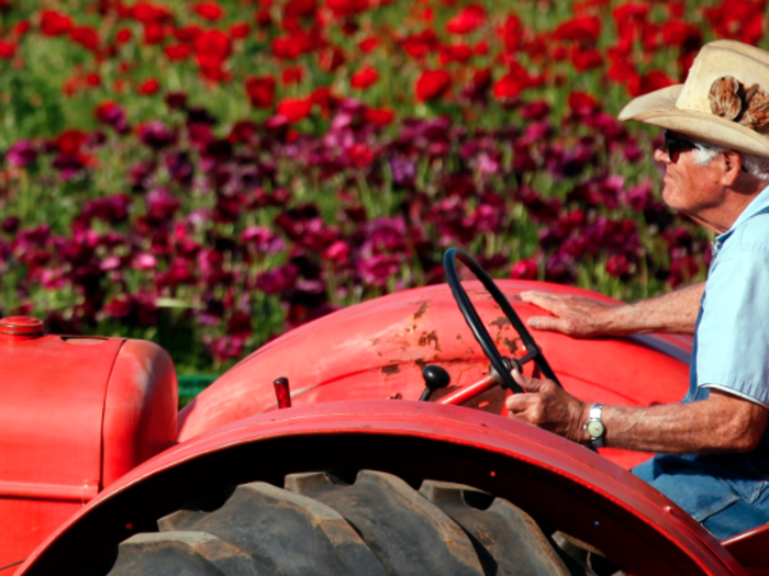 21. Farmers, ranchers, and other agricultural managers