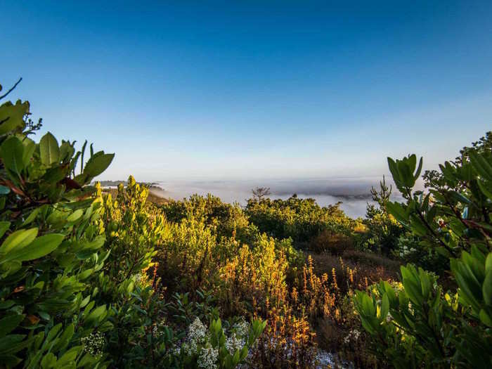 He scrapped his golf-course plans and set out to create a gated community that would put contemporary homes in a natural setting. Walden Monterey was born.