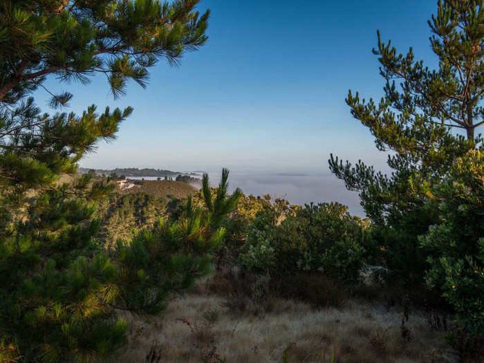 In 2016, Nick Jekogian, a real-estate developer from Manhattan, scooped up 609 acres of wilderness in Monterey, California, a coastal area about an hour