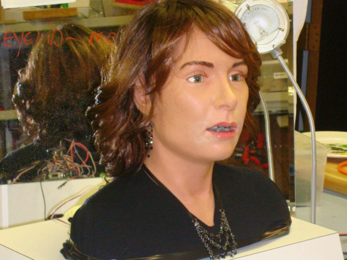 In 2008, Hanson developed Alice. The robot was created for MIRA Labs in Geneva, Switzerland.