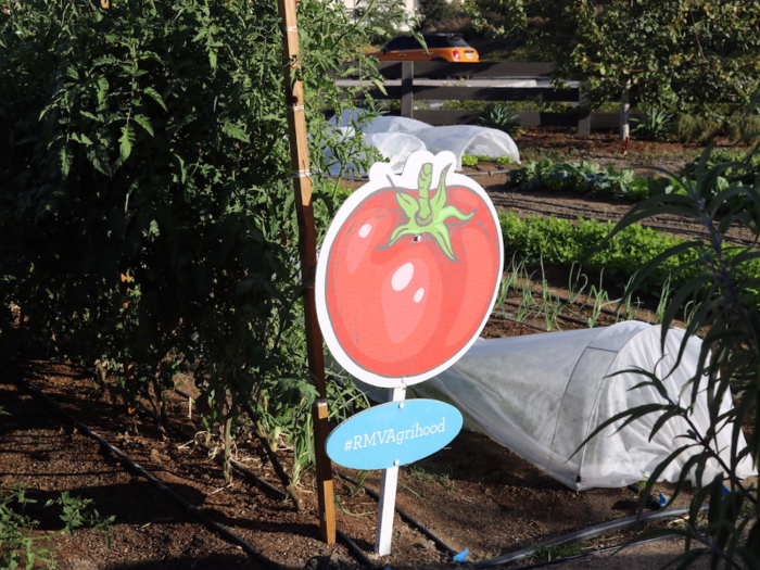 "Agrihood creates a sense of connection to both the environment and to others in the community," said Amaya Genaro, director of community services for Rancho Mission Viejo.