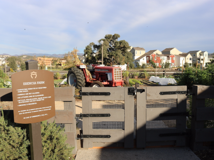 The Esencia farm has raised planter beds, 26 fruit trees and nine avocado, mulberry, walnut, and bay trees, plus a harvest and prep barn, greenhouse, tool shed, composting system, and chicken coop.