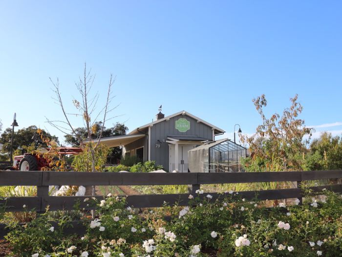 About 65 families are currently part of the farm program at Esencia, which requires a $100 fee every six months and a total of four volunteer hours a month per household. In exchange, residents can pick flowers and herbs during open farm hours and gather weekly baskets of crops.