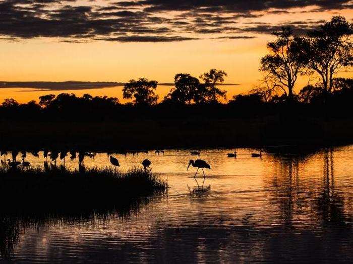 As rains return to Botswana’s wilderness, natural watering holes fill up with water, providing a temporary sanctuary for aquatic birds. In this image, a number of birds are silhouetted around a watering hole called Peter’s Pan at sunrise.