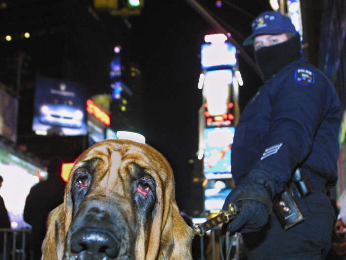 Following the September 11th attacks in 2001, the police department tightened security in Times Square even more. Bomb-sniffing dogs and 7,000 officers with handheld metal detectors were on duty.