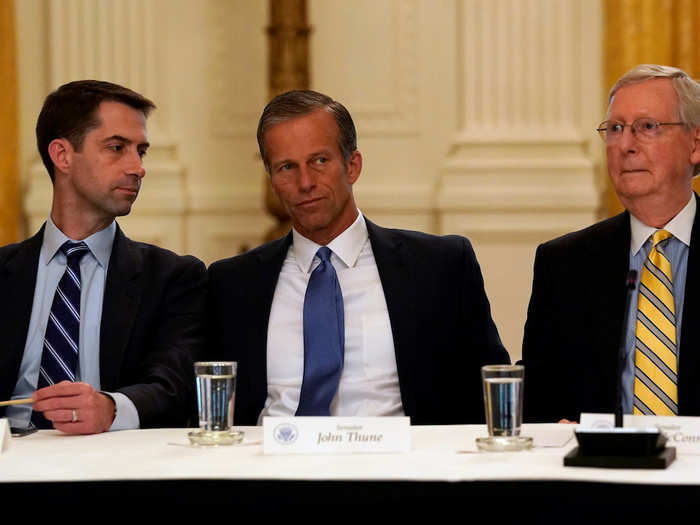 Since his election to the Senate, Cotton has maintained his fiercely conservative posture, and has advocated a more aggressive strategy toward Iran. He serves on a number of committees, including the Senate Armed Services Committee.