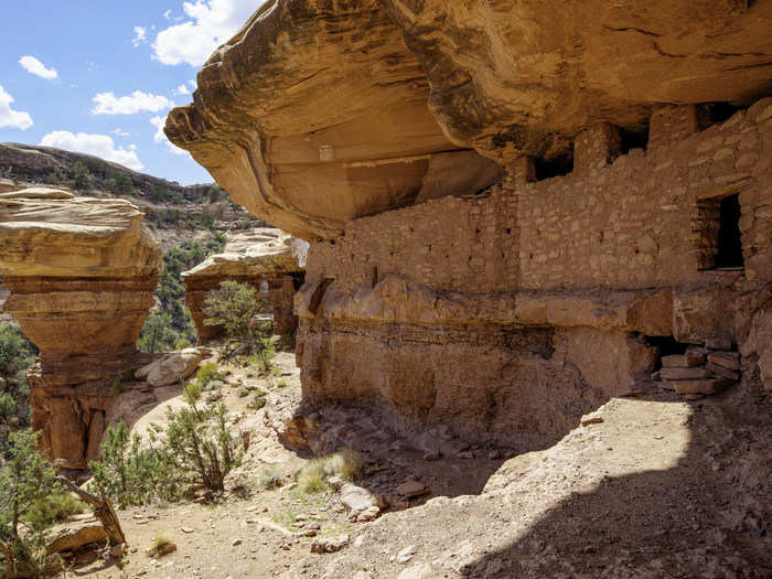 This is the Cedar Mesa Citadel ruin, an ancient Anasazi fortress carved into the sandstone cliffs of Bears Ears.