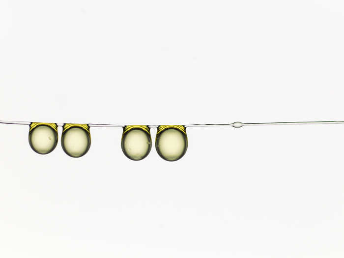 A family of olive oil droplets hang from a soft silk thread.