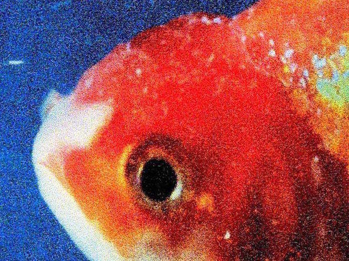 7. Vince Staples — "Big Fish Theory"