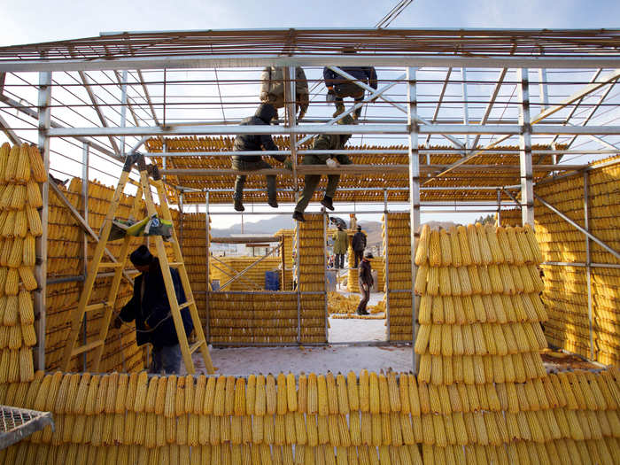 Villagers build a house with corn cobs in Jilin, Jilin province, China.