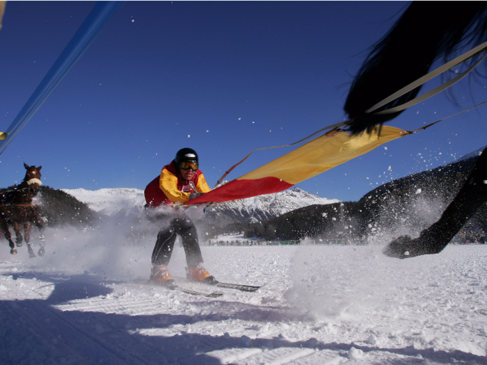 And even follow horses on skis.