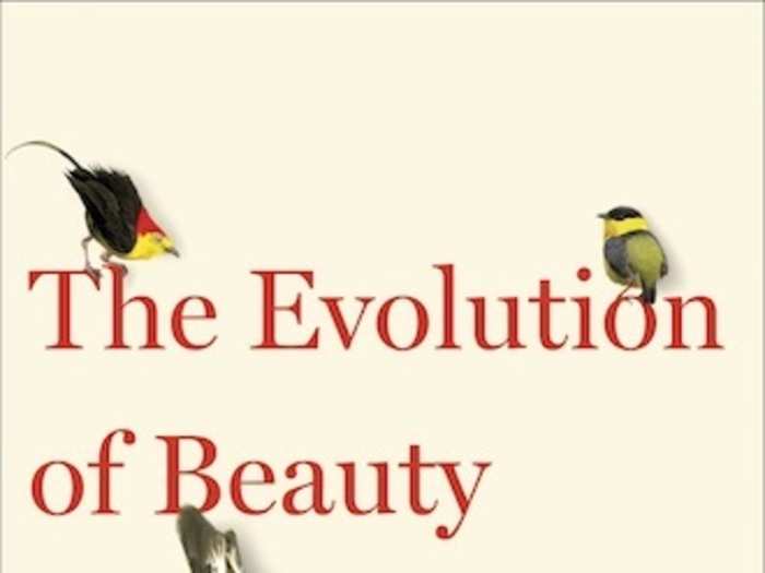 A bird lover wants to change the way we think about Darwin