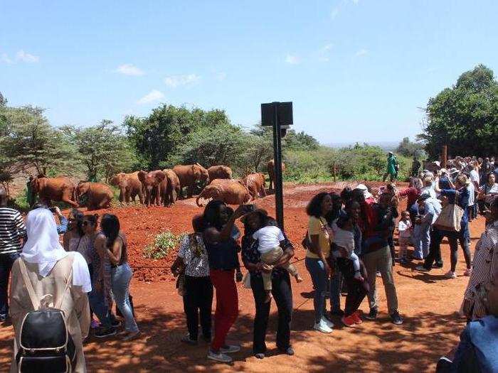 Most of the elephants were well-behaved (moreso than most of the kids I saw that day). Even with so many people furiously taking pictures, the animals kept to themselves.